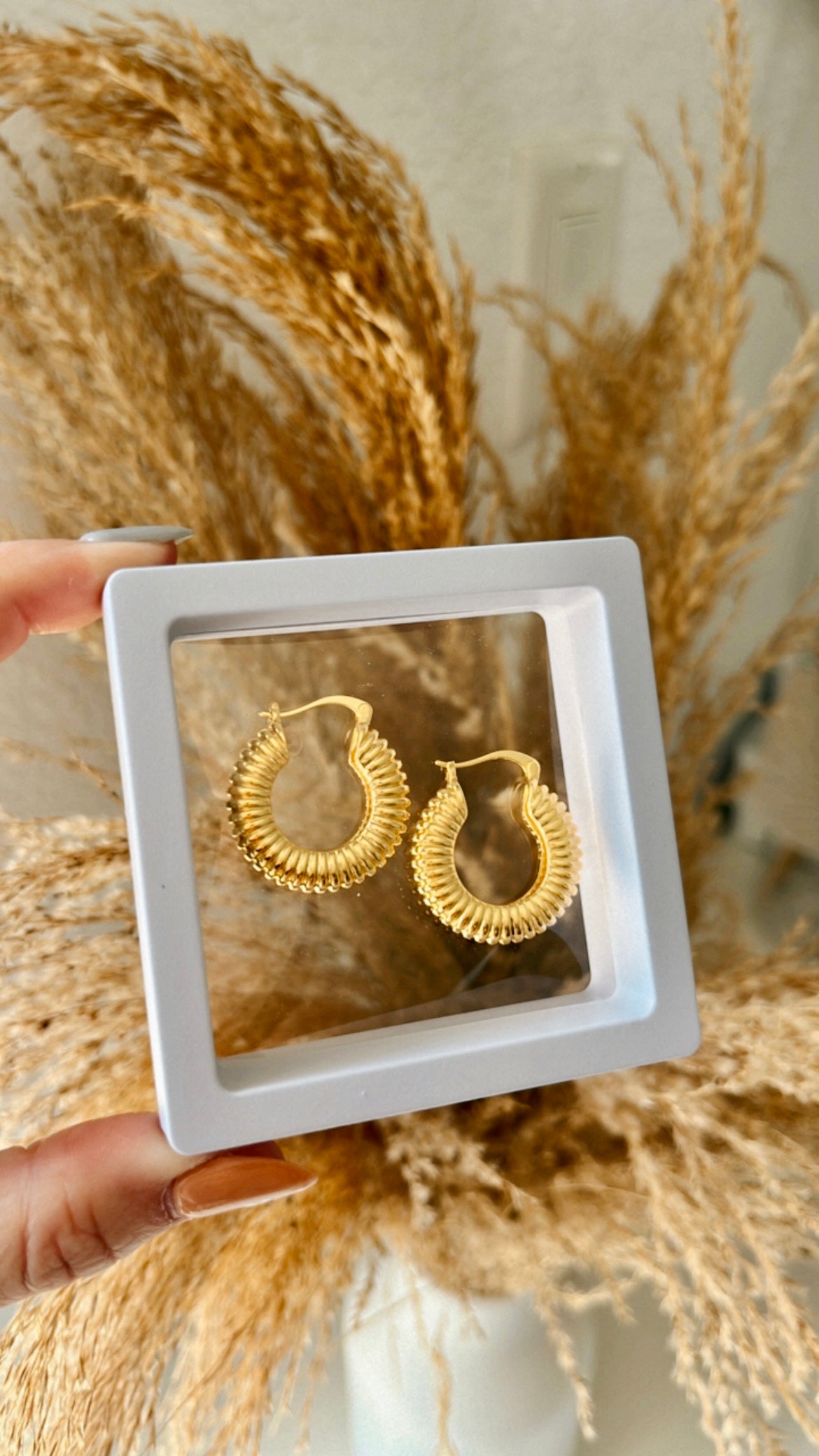 Lola Hoops