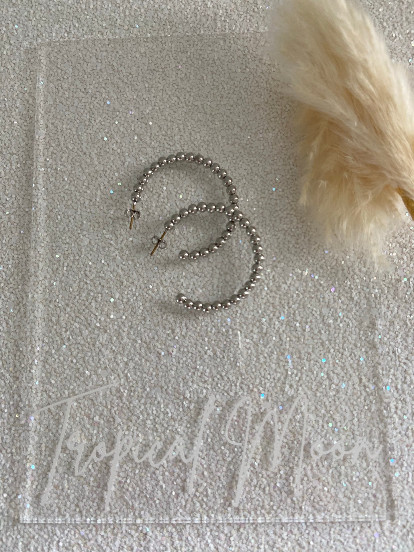 Silver Hoops