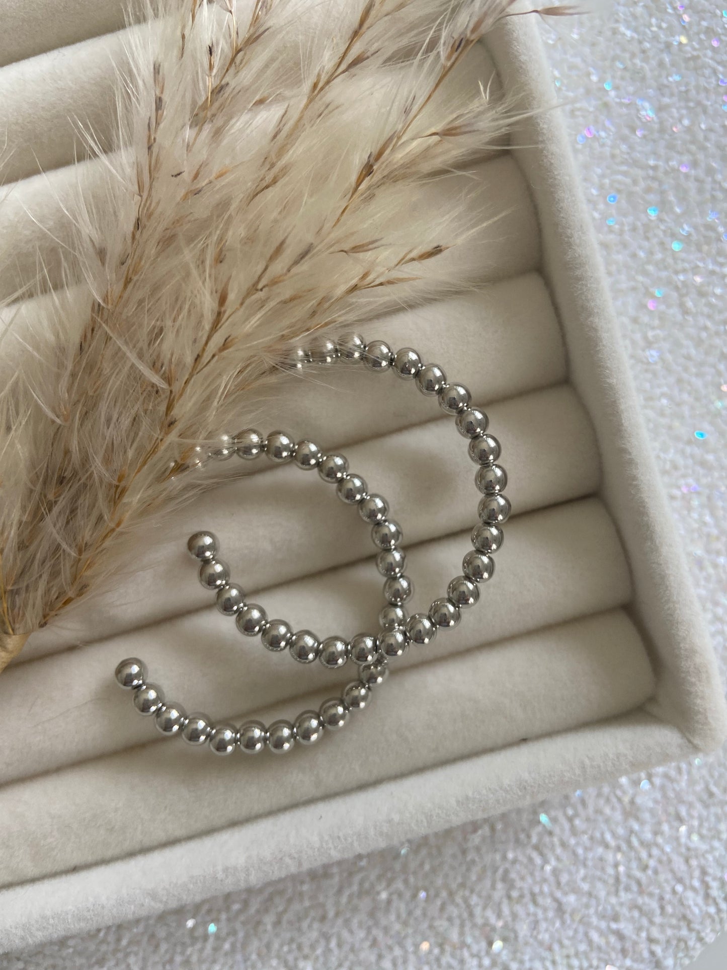 Silver Hoops