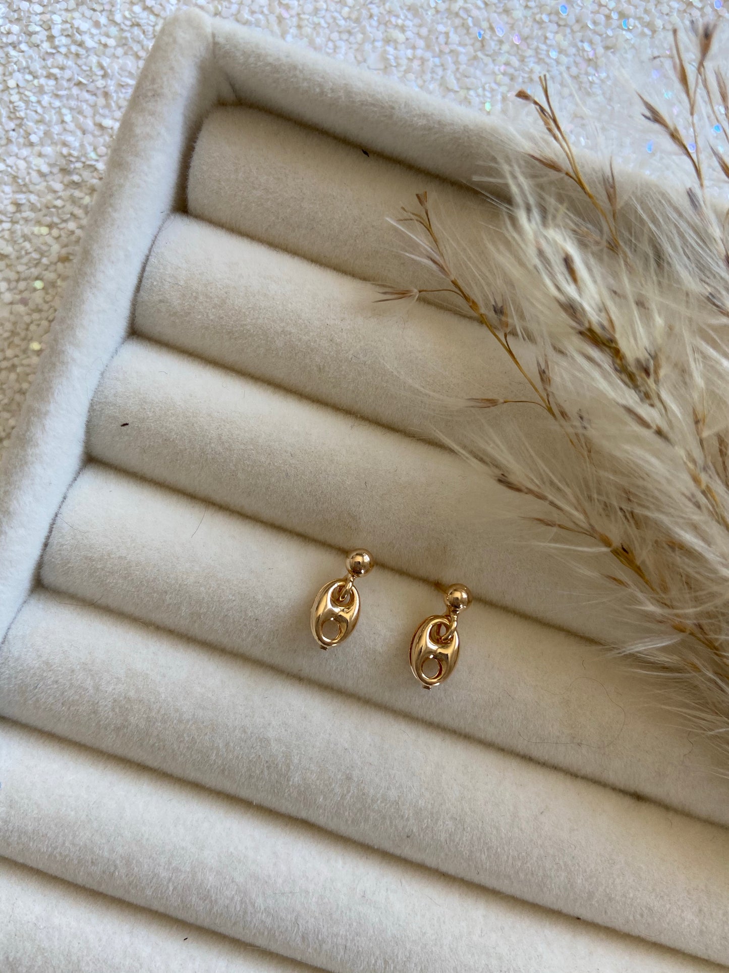 GG Earrings